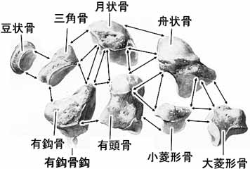 A02408001b.jpg (13316 バイト)