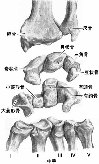 A02409001a.jpg (23628 バイト)