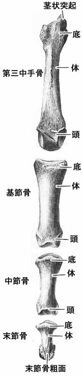 A02410001a.jpg (13584 バイト)