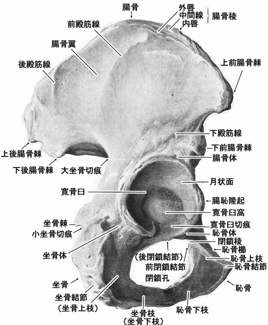 A02501001a.jpg (44806 バイト)