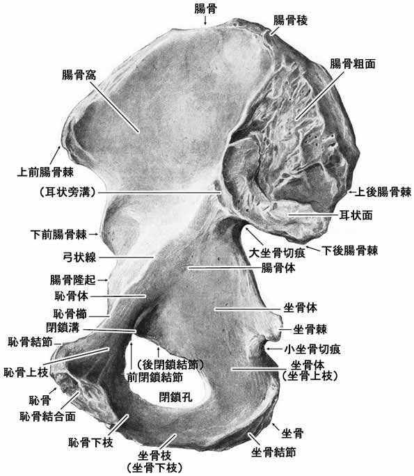 A02501001b.jpg (51101 バイト)