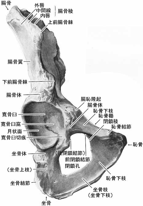 A02501001c.jpg (35550 バイト)