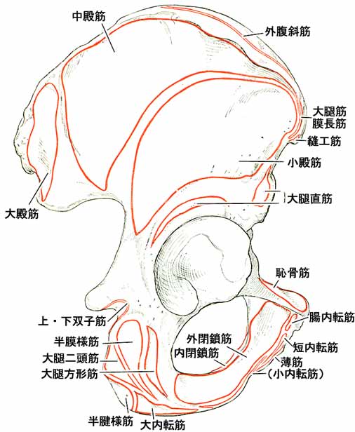 A02501001d.jpg (39938 バイト)