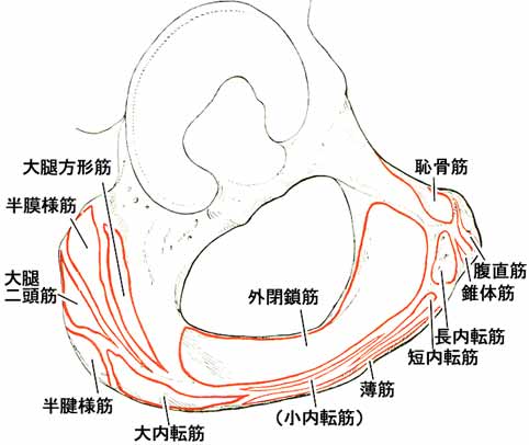 A02501001e.jpg (23864 バイト)