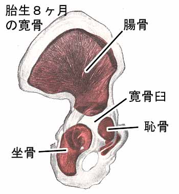 A02501101-313a.jpg (16404 バイト)