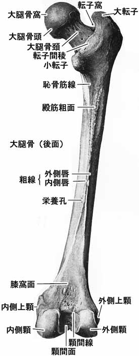 A02504001b.jpg (22603 バイト)