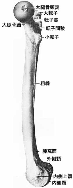 A02504001c.jpg (13085 バイト)