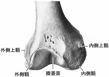 A02504001d.jpg (9119 バイト)