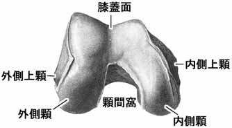 A02504001e.jpg (7273 バイト)