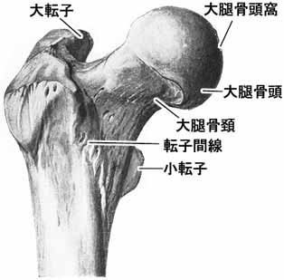 A02504001g.jpg (11948 バイト)