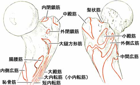 A02504001h.jpg (22594 バイト)