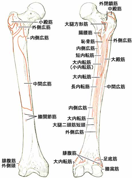 A02504001i.jpg (33971 バイト)