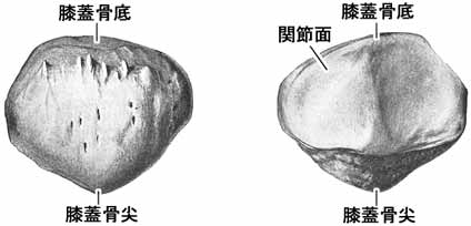 A02505001a.jpg (10729 バイト)