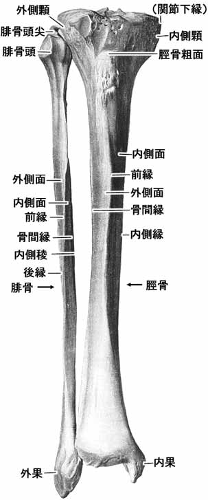 A02506001b.jpg (22870 バイト)