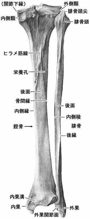 A02506001c.jpg (22633 バイト)
