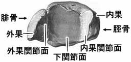 A02506001f.jpg (5776 バイト)