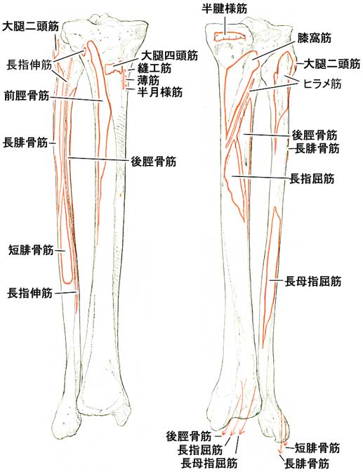 A02506001g.jpg (36848 バイト)