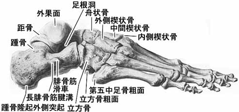 A02508001a.jpg (18484 バイト)