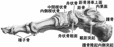 A02508001b.jpg (14332 バイト)