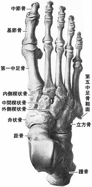 A02508001c.jpg (25113 バイト)
