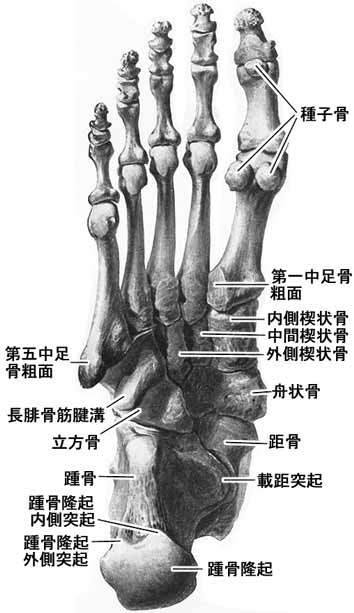 A02508001d.jpg (29352 バイト)