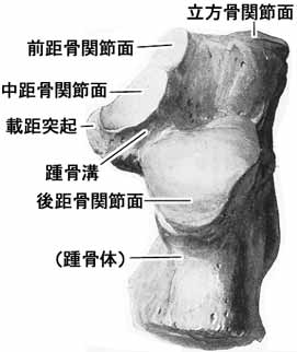 A02511001a.jpg (11856 バイト)