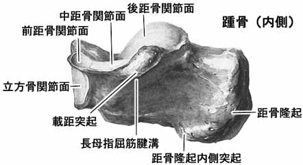A02511001b.jpg (14918 バイト)