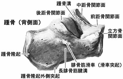 A02511001c.jpg (16754 バイト)