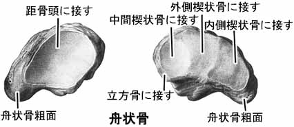 A02512001a.jpg (12419 バイト)