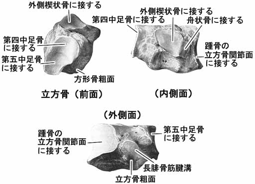A02516001a.jpg (24029 バイト)