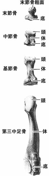 A02517001a.jpg (10036 バイト)