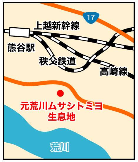 アクセスマップ図