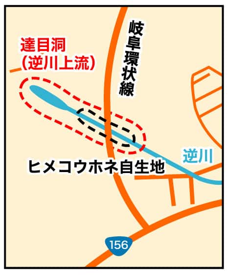 アクセスマップ図