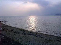 加太の海