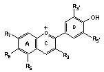 Picture_anthocyanin.JPG