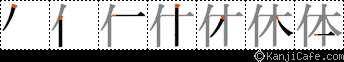 体