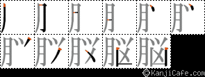 脳