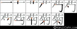 菊