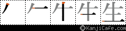生