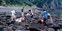 写真：磯の観察会