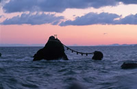 写真：夫婦岩