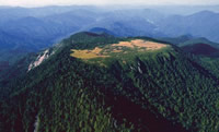 写真：田代山
