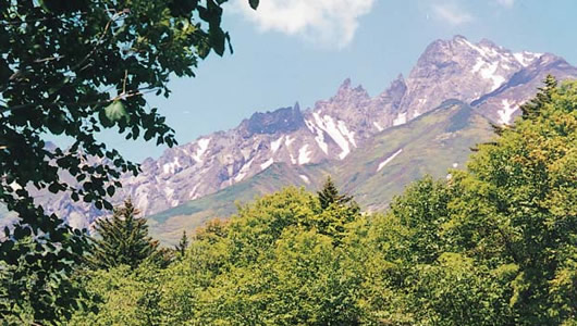 写真：鬼脇登山道から仰ぐ利尻山