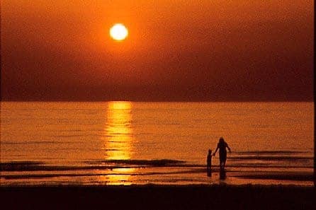 水浴場画像