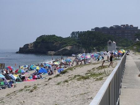 写真