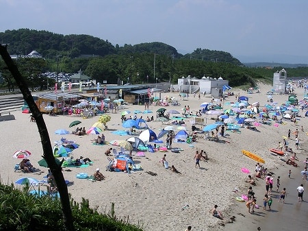 写真