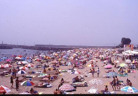 写真