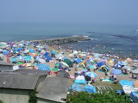 写真