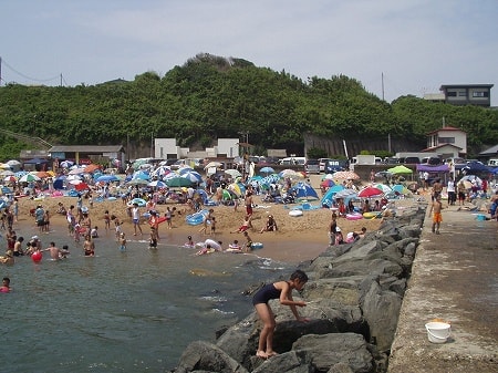 写真