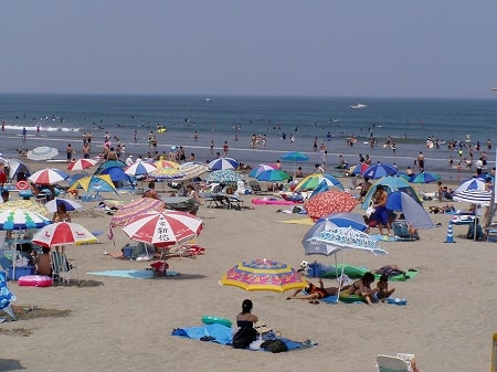 水浴場画像